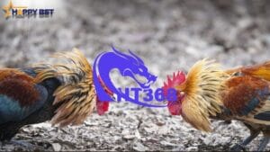 ht368