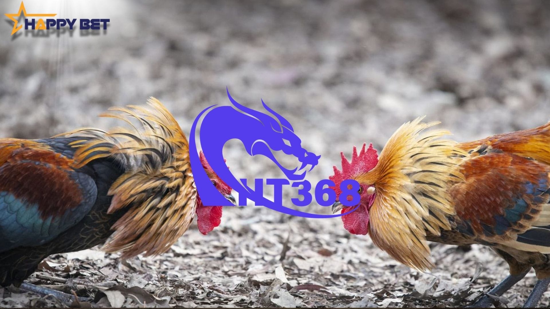 ht368